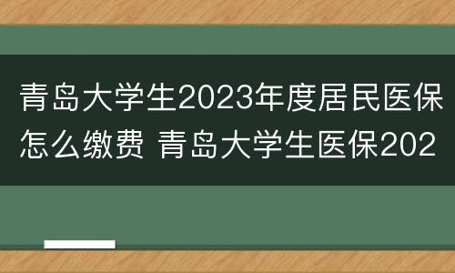 青岛大学生2023年度居民医保怎么缴费 青岛大学生医保2020政策