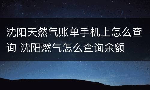 沈阳天然气账单手机上怎么查询 沈阳燃气怎么查询余额