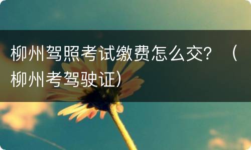 柳州驾照考试缴费怎么交？（柳州考驾驶证）