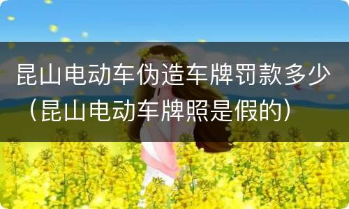 昆山电动车伪造车牌罚款多少（昆山电动车牌照是假的）