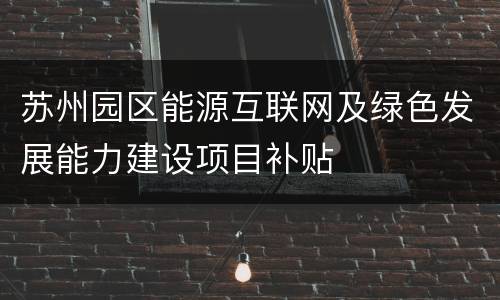 苏州园区能源互联网及绿色发展能力建设项目补贴