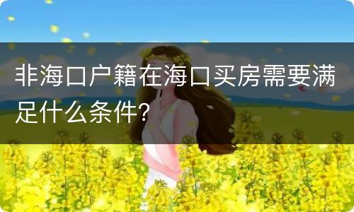 非海口户籍在海口买房需要满足什么条件？