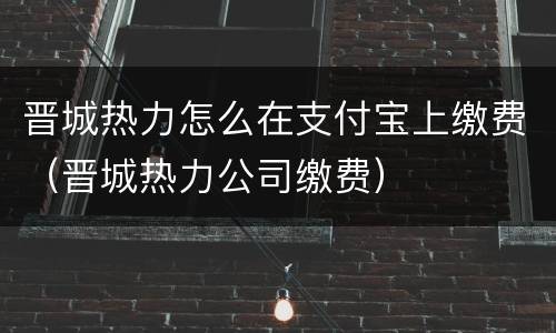 晋城热力怎么在支付宝上缴费（晋城热力公司缴费）