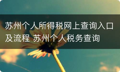 苏州个人所得税网上查询入口及流程 苏州个人税务查询