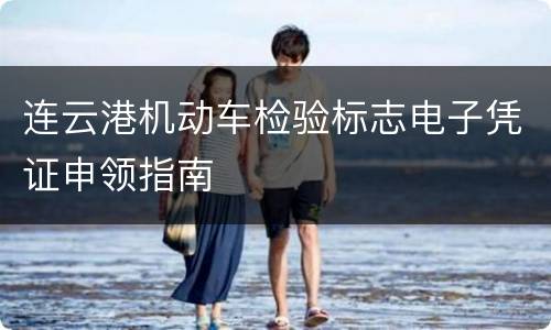 连云港机动车检验标志电子凭证申领指南