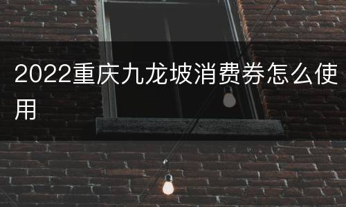 2022重庆九龙坡消费券怎么使用