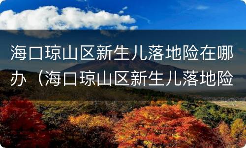 海口琼山区新生儿落地险在哪办（海口琼山区新生儿落地险去哪里办理）