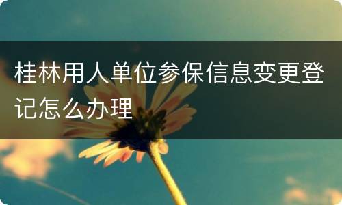 桂林用人单位参保信息变更登记怎么办理
