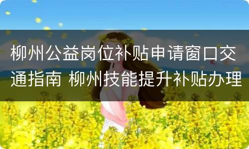 柳州公益岗位补贴申请窗口交通指南 柳州技能提升补贴办理流程
