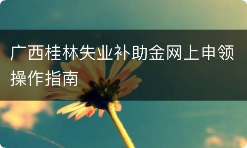 广西桂林失业补助金网上申领操作指南