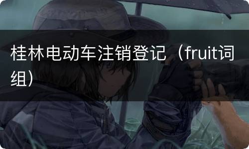 桂林电动车注销登记（fruit词组）