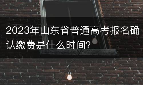 2023年山东省普通高考报名确认缴费是什么时间？