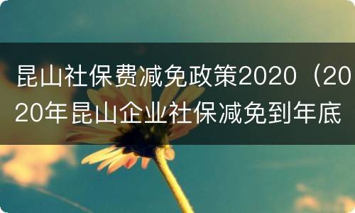 昆山社保费减免政策2020（2020年昆山企业社保减免到年底吗）