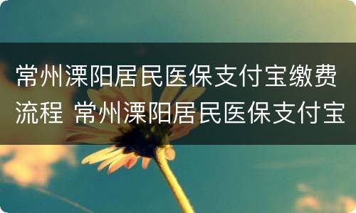 常州溧阳居民医保支付宝缴费流程 常州溧阳居民医保支付宝缴费流程查询