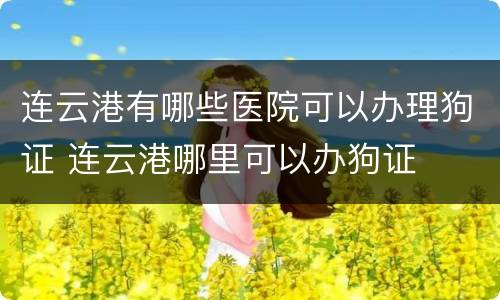 连云港有哪些医院可以办理狗证 连云港哪里可以办狗证