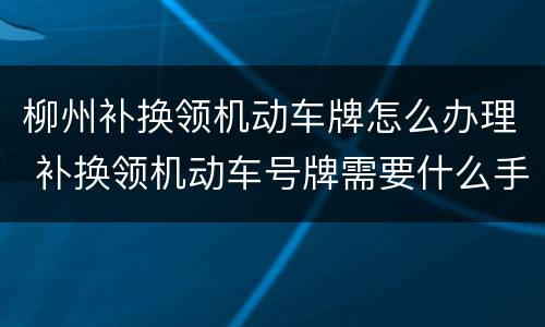柳州补换领机动车牌怎么办理 补换领机动车号牌需要什么手续