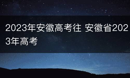 2023年安徽高考往 安徽省2023年高考