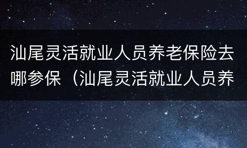 汕尾灵活就业人员养老保险去哪参保（汕尾灵活就业人员养老保险去哪参保呢）