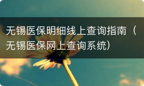 无锡医保明细线上查询指南（无锡医保网上查询系统）