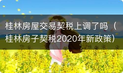 桂林房屋交易契税上调了吗（桂林房子契税2020年新政策）