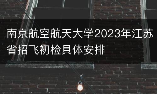 南京航空航天大学2023年江苏省招飞初检具体安排