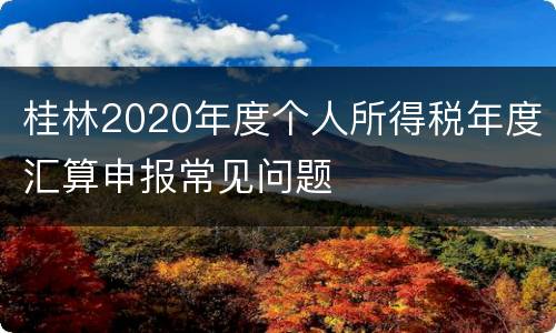 桂林2020年度个人所得税年度汇算申报常见问题