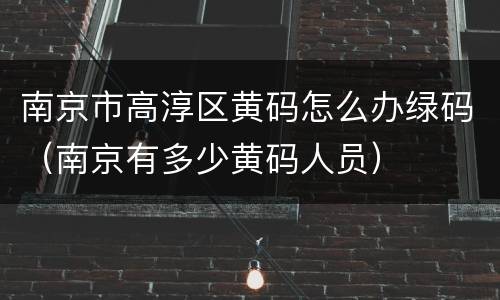 南京市高淳区黄码怎么办绿码（南京有多少黄码人员）
