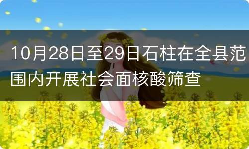 10月28日至29日石柱在全县范围内开展社会面核酸筛查