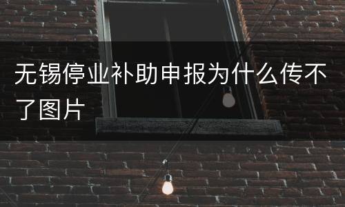 无锡停业补助申报为什么传不了图片
