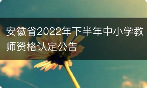 安徽省2022年下半年中小学教师资格认定公告