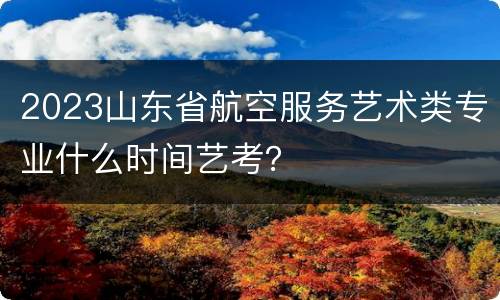 2023山东省航空服务艺术类专业什么时间艺考？