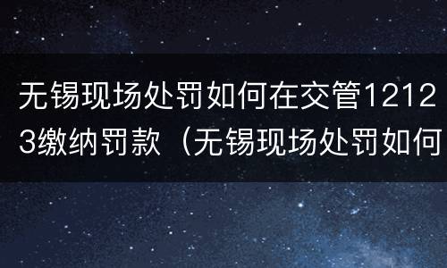 无锡现场处罚如何在交管12123缴纳罚款（无锡现场处罚如何在交管12123缴纳罚款单）