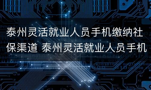 泰州灵活就业人员手机缴纳社保渠道 泰州灵活就业人员手机缴纳社保渠道有哪些