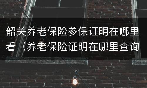 韶关养老保险参保证明在哪里看（养老保险证明在哪里查询）