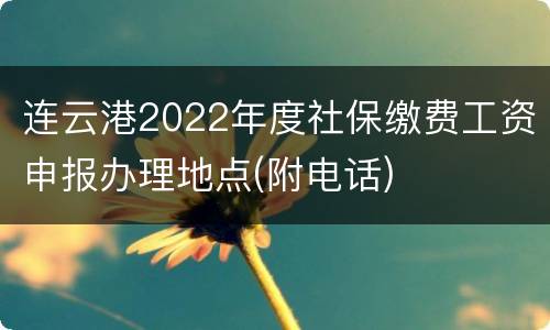 连云港2022年度社保缴费工资申报办理地点(附电话)