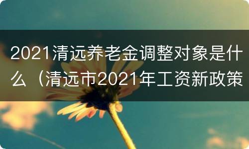 2021清远养老金调整对象是什么（清远市2021年工资新政策）