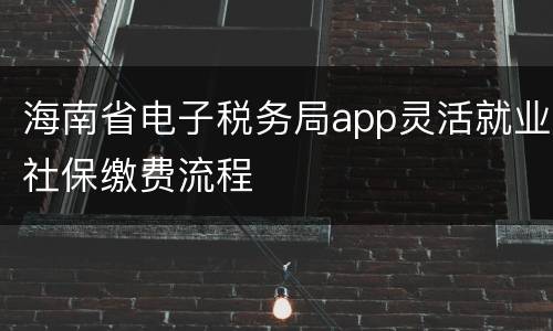 海南省电子税务局app灵活就业社保缴费流程