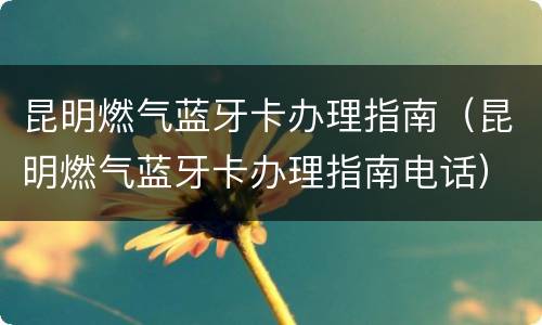 昆明燃气蓝牙卡办理指南（昆明燃气蓝牙卡办理指南电话）
