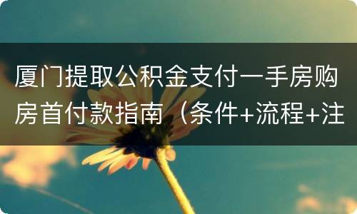 厦门提取公积金支付一手房购房首付款指南（条件+流程+注意事项）
