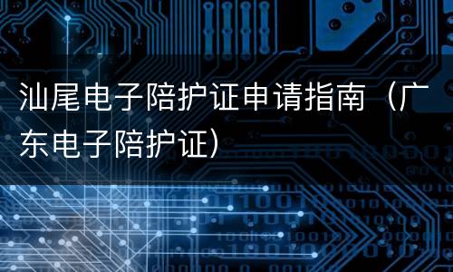 汕尾电子陪护证申请指南（广东电子陪护证）