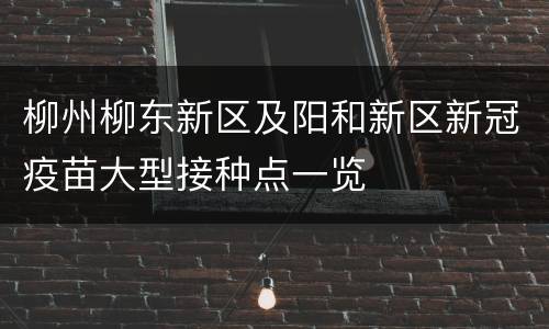 柳州柳东新区及阳和新区新冠疫苗大型接种点一览