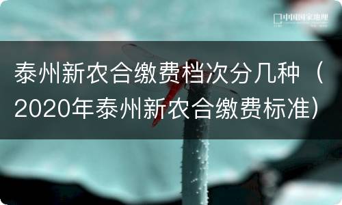 泰州新农合缴费档次分几种（2020年泰州新农合缴费标准）