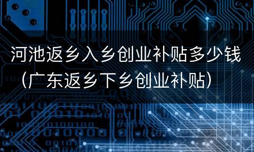 河池返乡入乡创业补贴多少钱（广东返乡下乡创业补贴）