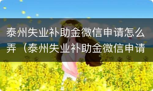 泰州失业补助金微信申请怎么弄（泰州失业补助金微信申请怎么弄不了）