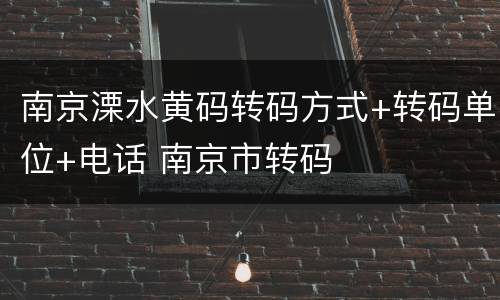 南京溧水黄码转码方式+转码单位+电话 南京市转码