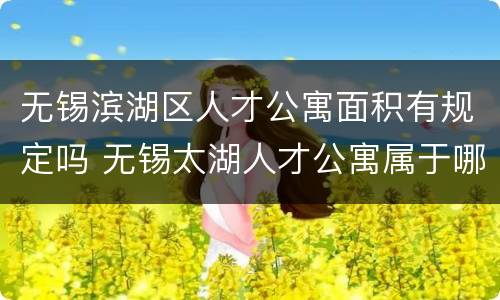 无锡滨湖区人才公寓面积有规定吗 无锡太湖人才公寓属于哪个街道