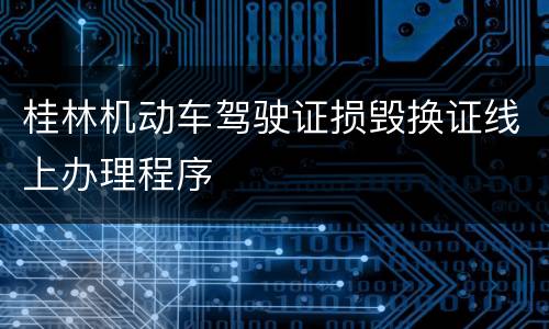 桂林机动车驾驶证损毁换证线上办理程序