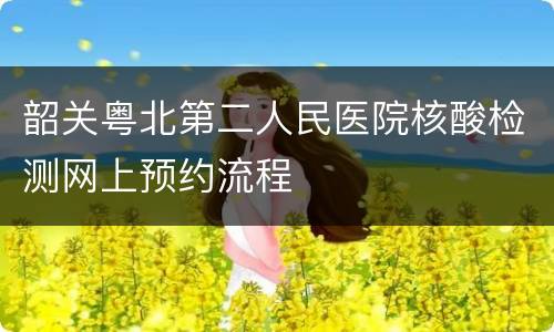 韶关粤北第二人民医院核酸检测网上预约流程