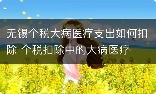 无锡个税大病医疗支出如何扣除 个税扣除中的大病医疗