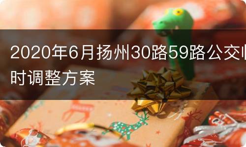 2020年6月扬州30路59路公交临时调整方案